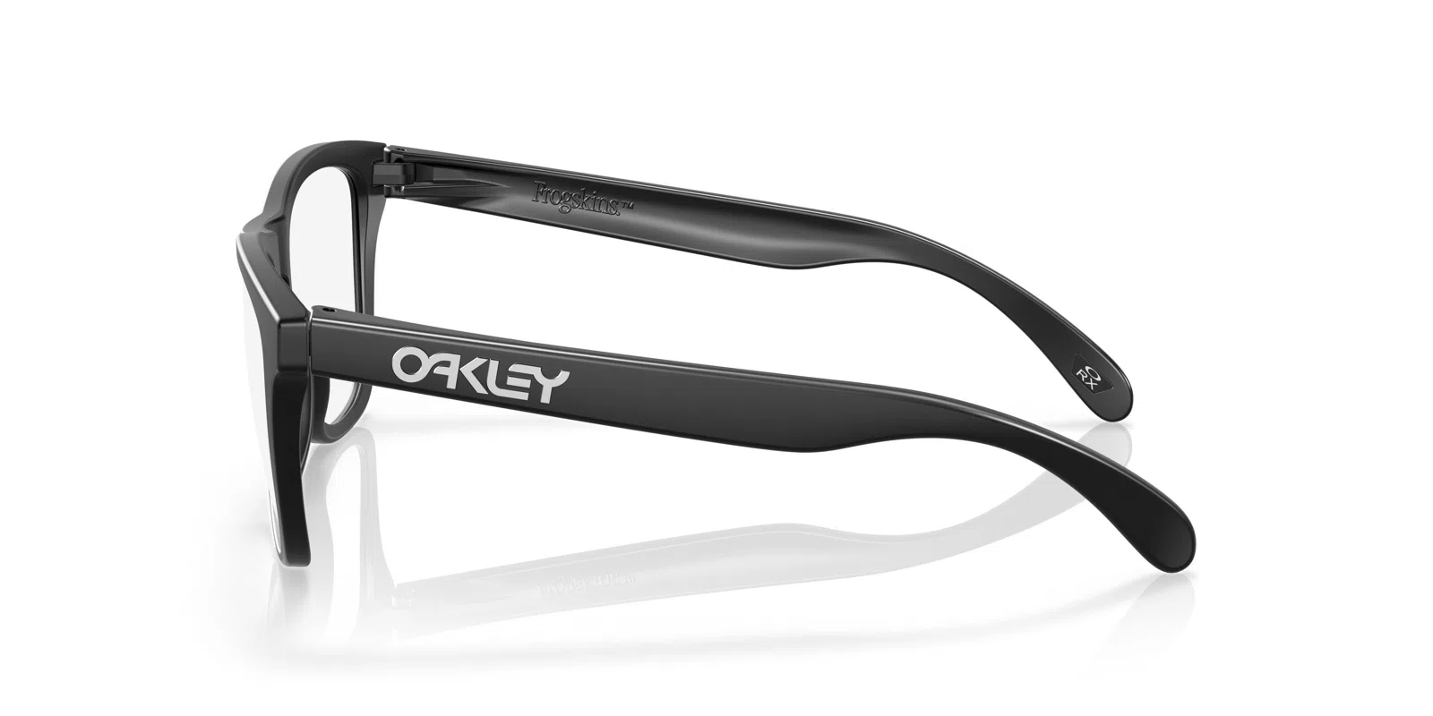 Oakley Frogskins Rx A 8137A Eyeglasses - view 8